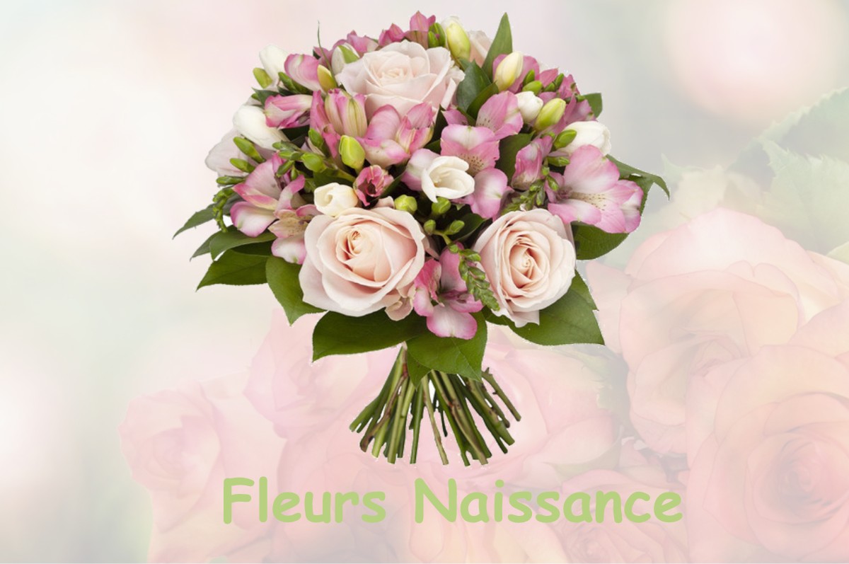 fleurs naissance CASTELGAILLARD