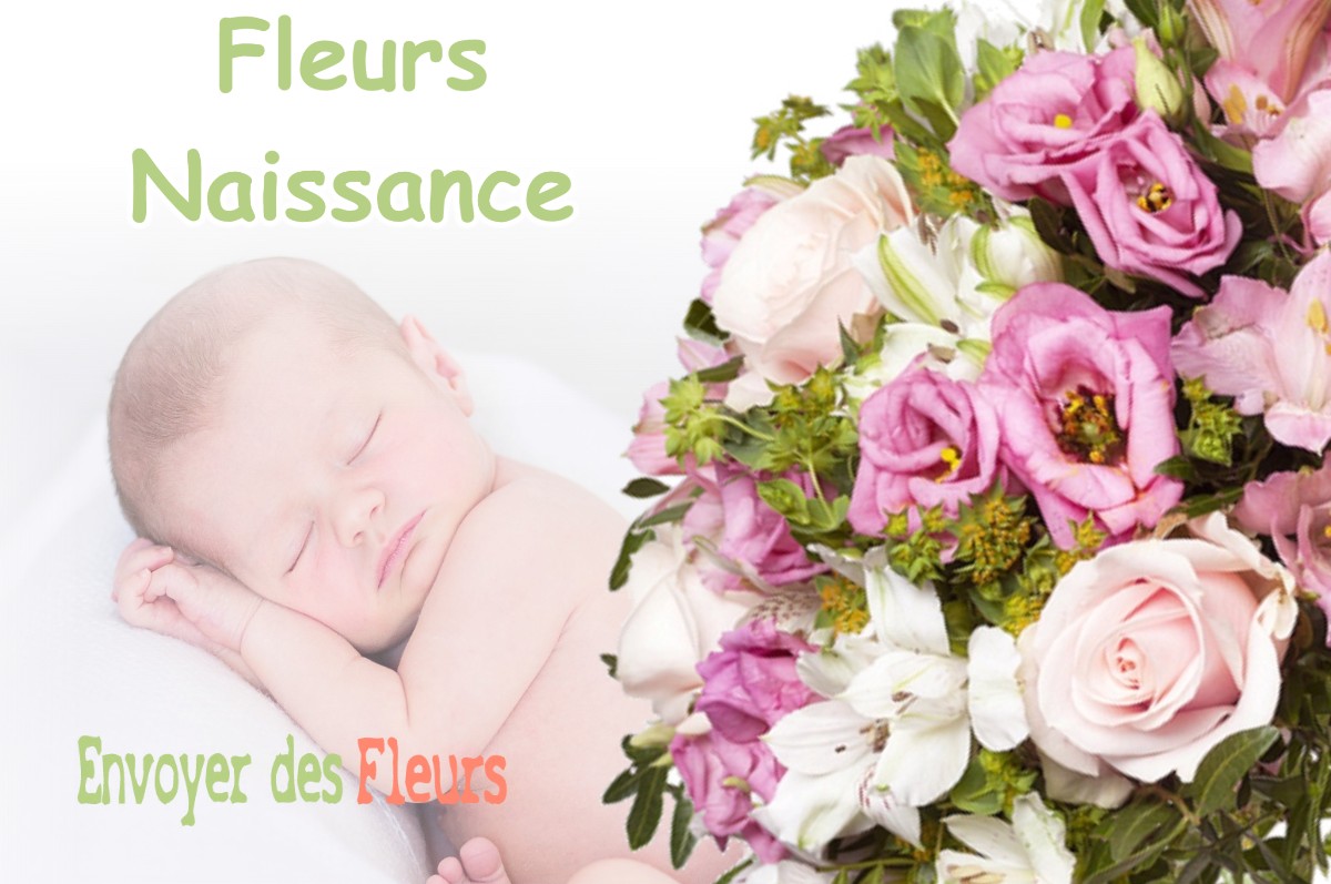 lIVRAISON FLEURS NAISSANCE à CASTELGAILLARD