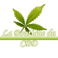 LA BOUTIQUE DU CBD CASTELGAILLARD 